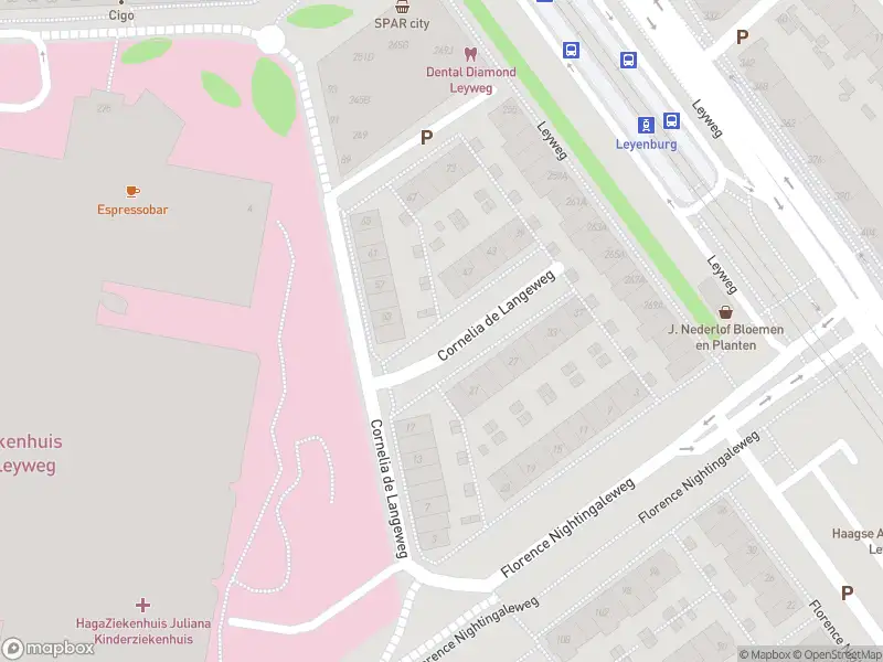 Ambulance met grote spoed naar de Cornelia de Langeweg in 's-Gravenhage