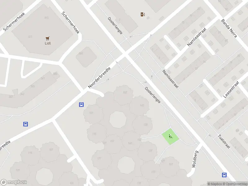 Ambulance naar de Braamberg in Capelle aan den IJssel