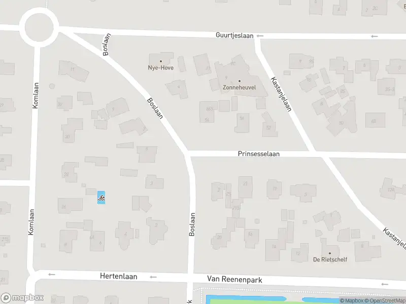 Ambulance met gepaste spoed naar de Guurtjeslaan in Bergen