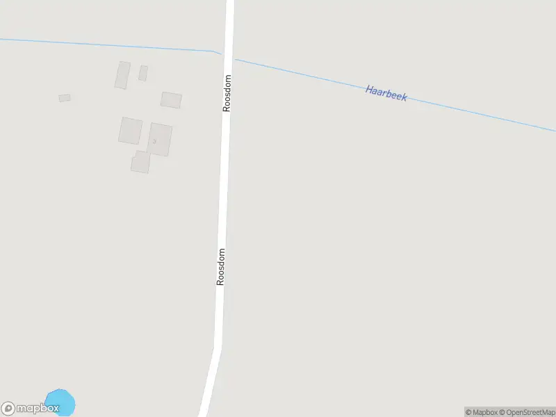 Brandweer met grote spoed naar de Roosdom in Laren vanwege gebouwbrand