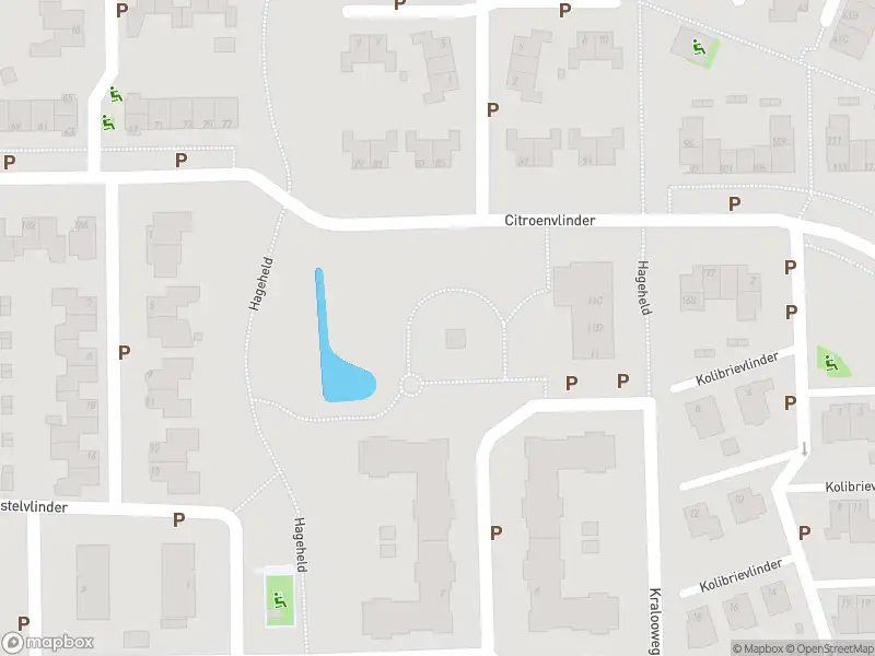 Brandweer met gepaste spoed naar de Luzernevlinder in Meppel vanwege afhijsen patient