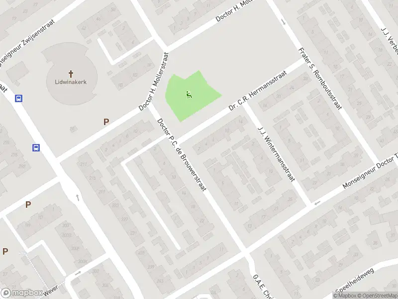 Overlastmelding Dr. C.R. Hermansstraat in Best