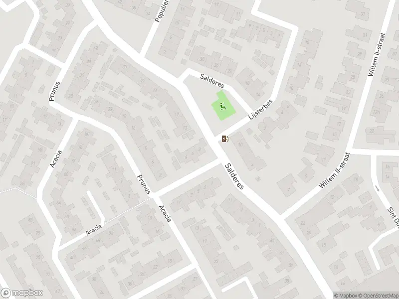 112 melding Overlastmelding Acacia in Best