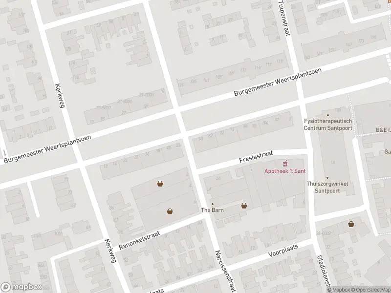 Overlastmelding Burgemeester Weertsplantsoen in Santpoort-Noord