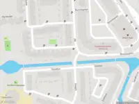 Overlastmelding Zilvermeeuw in Noordwijk gesloten