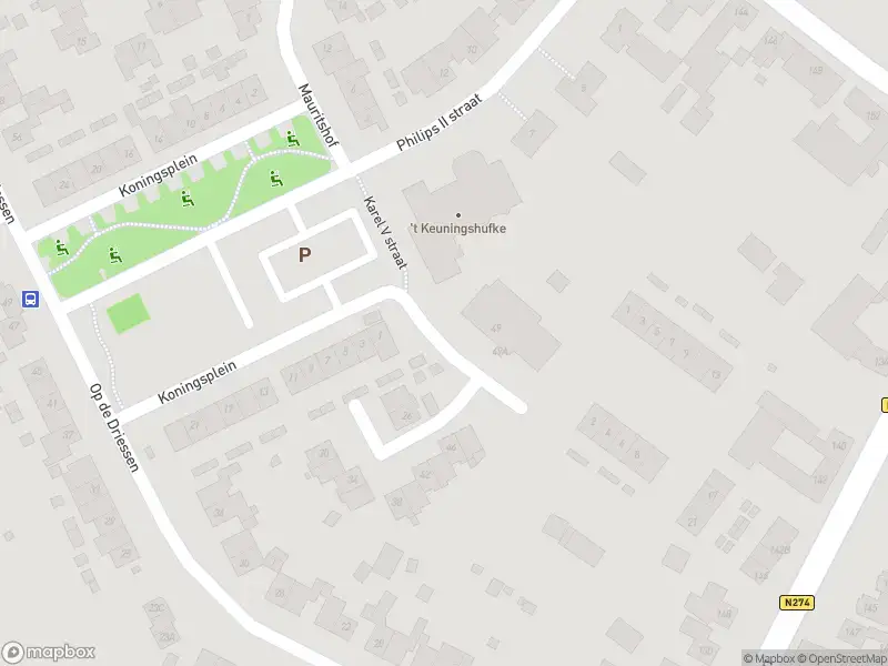 Overlastmelding Karel V straat in Koningsbosch