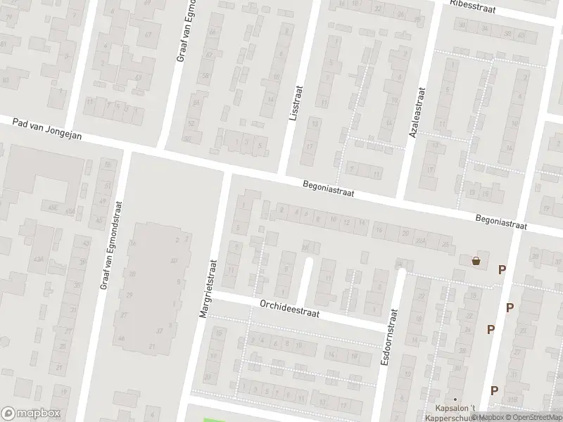 112 melding Overlastmelding Begoniastraat in Oud-Beijerland