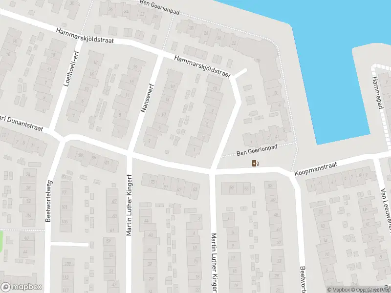 Overlastmelding Hammarskjoldstraat in Oud-Beijerland gesloten