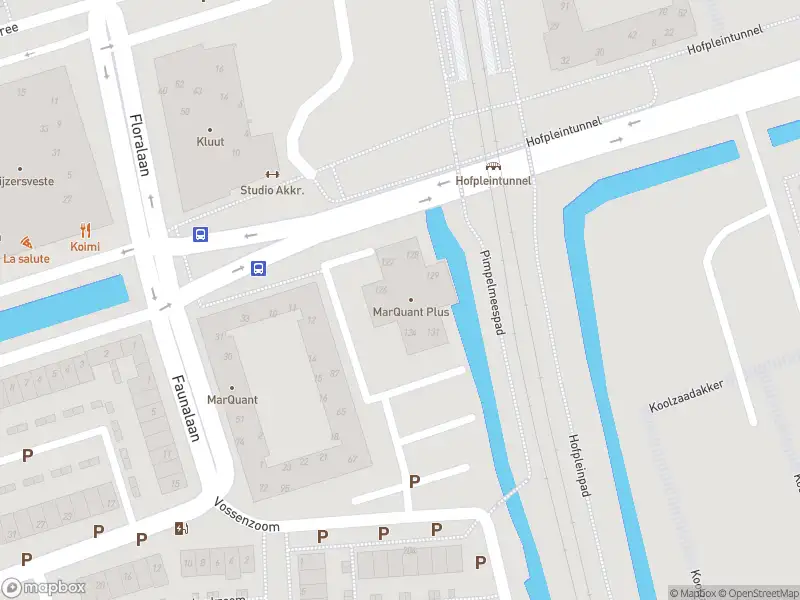 Ambulance met grote spoed naar de Vossenzoom in Pijnacker