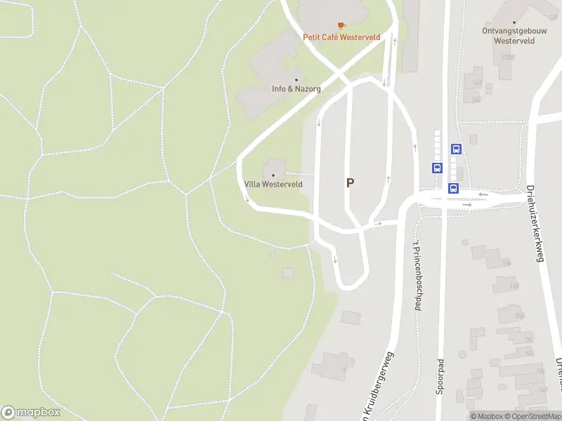 Overlastmelding Duin- en Kruidbergerweg in Driehuis