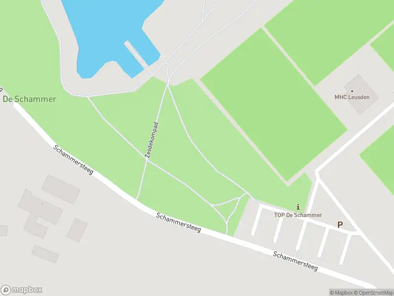 Brandweer met gepaste spoed naar de Schammersteeg in Stoutenburg