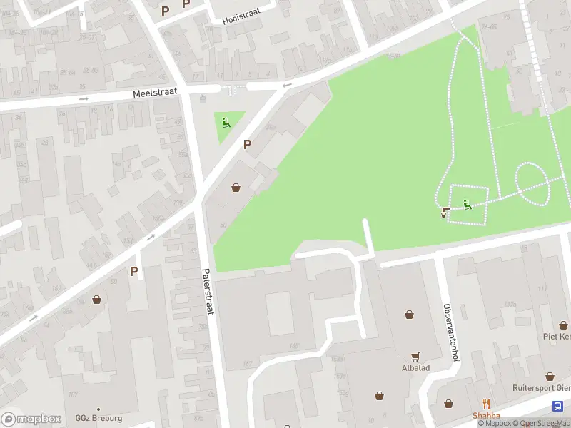 Anonieme overlastmelding Paterstraat in 5025KH Tilburg gesloten