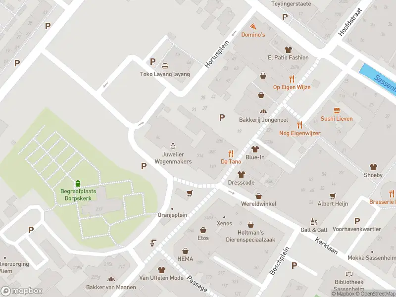 Politie met grote spoed naar de Hortuslaan in Sassenheim vanwege overval