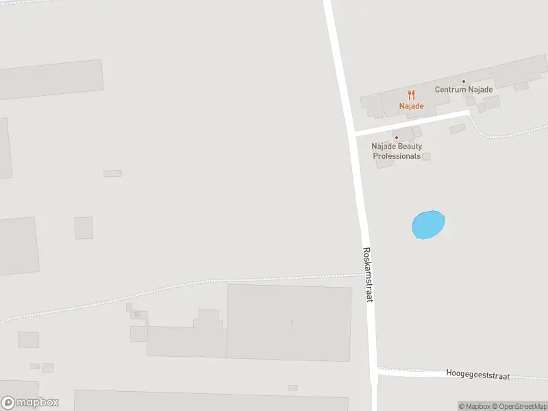 Overlastmelding Roskamstraat in Kapellebrug