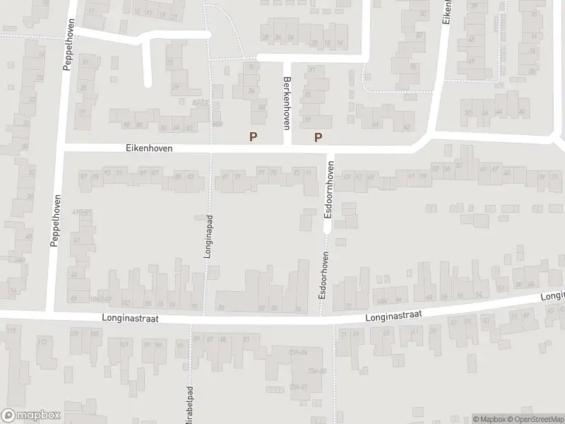 Overlastmelding Ambyerstraat Zuid in 6225AJ Maastricht