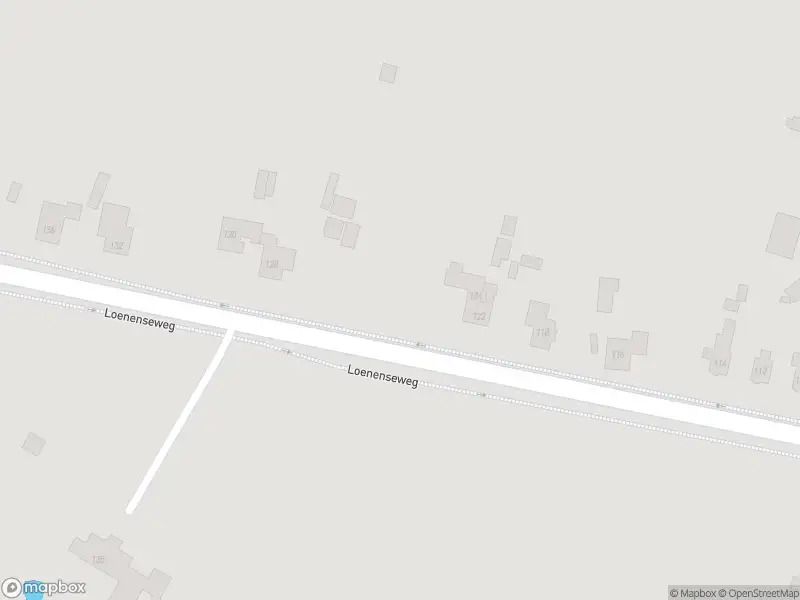 Overlastmelding Loenenseweg in Eerbeek