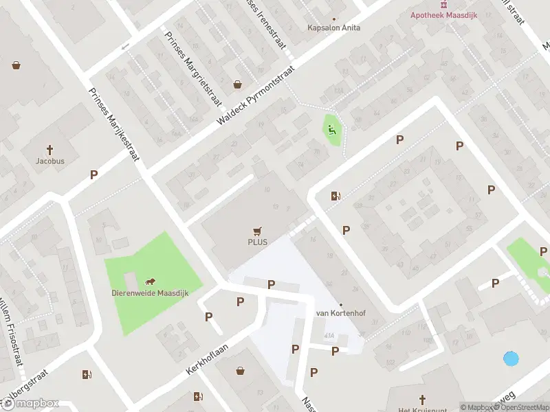 Ambulance met grote spoed naar de Oranjeplein in Maasdijk