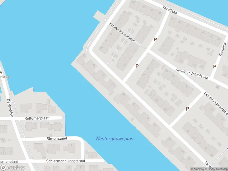 Ambulance met grote spoed naar de Terschellinglaan in Gouda