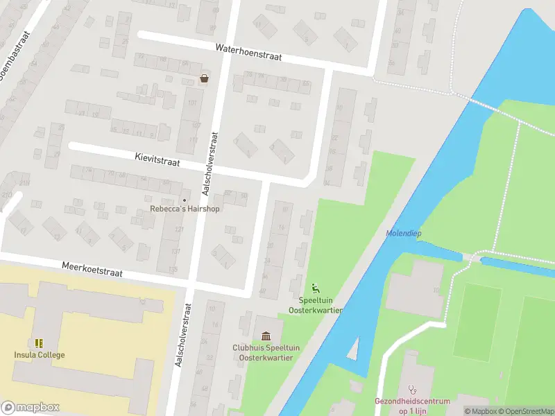 Ambulance met gepaste spoed naar de Meerkoetstraat in Dordrecht