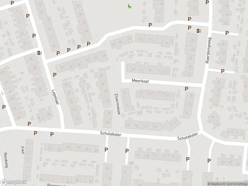 Overlastmelding Zilvermeeuw in Oud-Beijerland