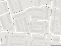 Overlastmelding Zilvermeeuw in Oud-Beijerland