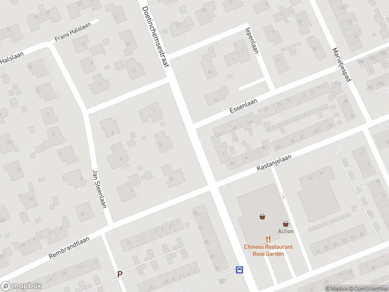 Ambulance met grote spoed naar de Doetinchemsestraat in Middelharnis