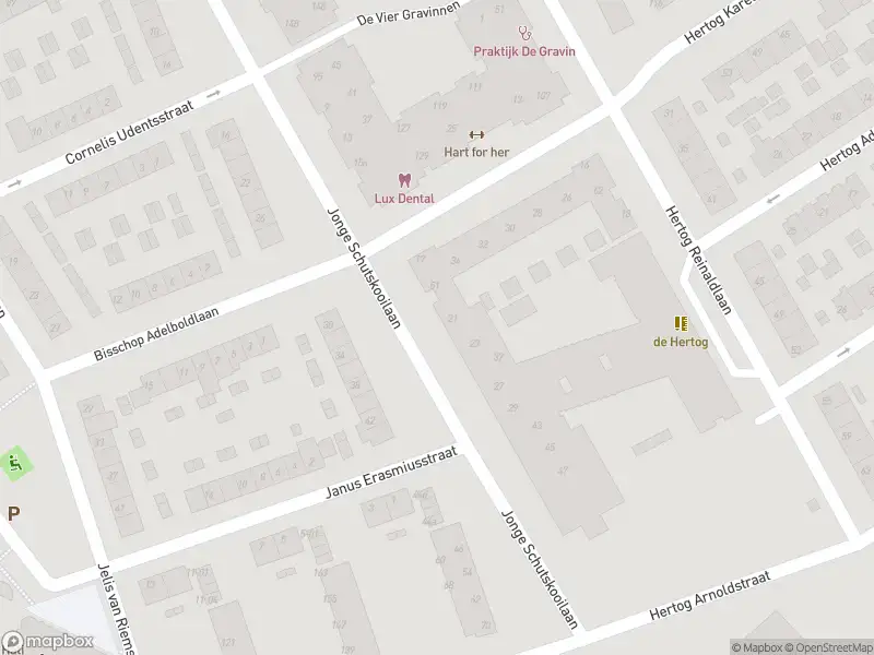 Brandweer met normale urgentie naar de Hertog Karellaan in Tiel