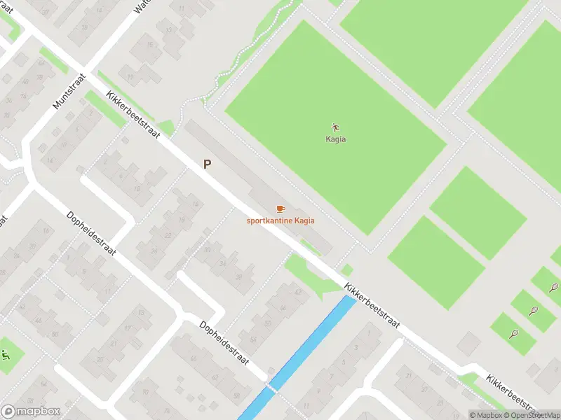 Overlastmelding Kikkerbeetstraat in Lisserbroek