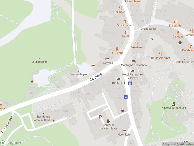 Brandweer met gepaste spoed naar de Cauberg in Valkenburg