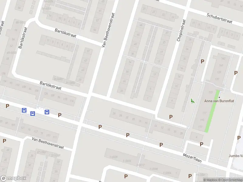 Overlastmelding Van Beethovenstraat in Zevenaar