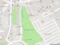 Politie naar de Graaf Ottosingel in Zutphen vanwege personen te water