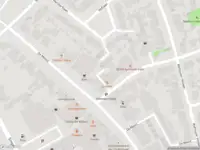 Brandweer met gepaste spoed naar de Koekoeksbloem in Odijk