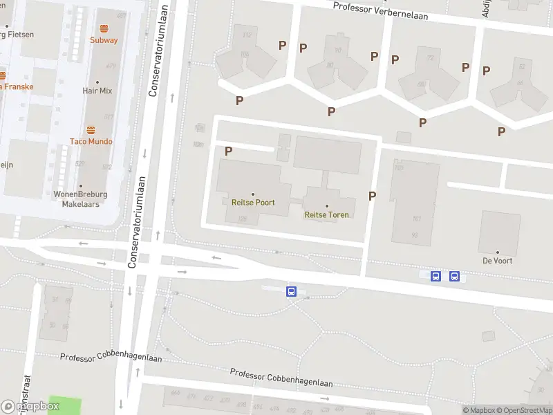 Overlastmelding Professor Cobbenhagenlaan in Tilburg