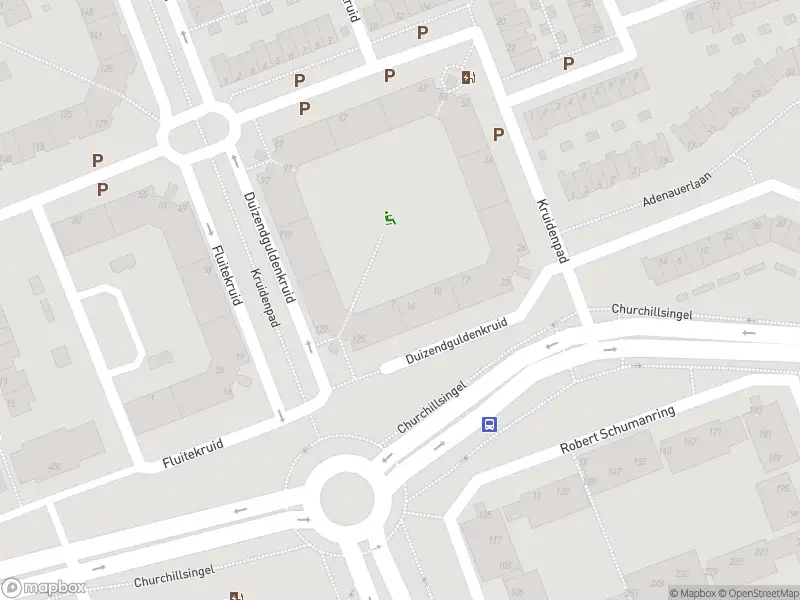 Ambulance met gepaste spoed naar de Duizendguldenkruid in Vlaardingen