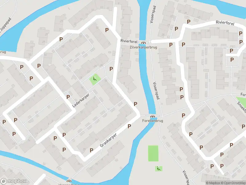 Ambulance met grote spoed naar de Zilverkarper in Leiden