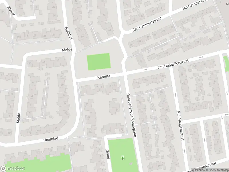 Overlastmelding Kamille in Best gesloten