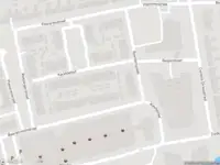 Overlastmelding Reigerstraat in 8301XZ Emmeloord