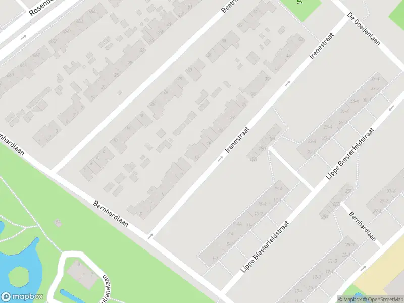 Overlastmelding Irenestraat in Arnhem