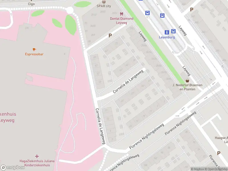 Ambulance met grote spoed naar de Cornelia de Langeweg in 's-Gravenhage