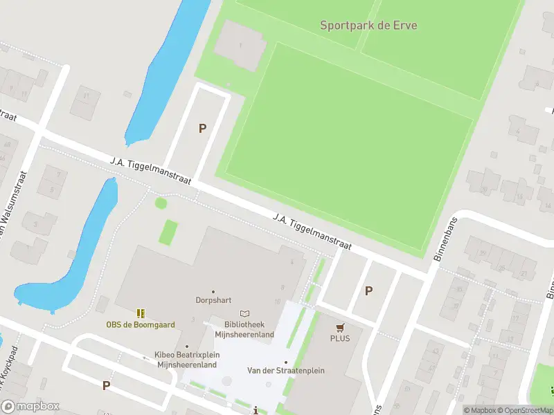 Overlastmelding J.A. Tiggelmanstraat in Mijnsheerenland