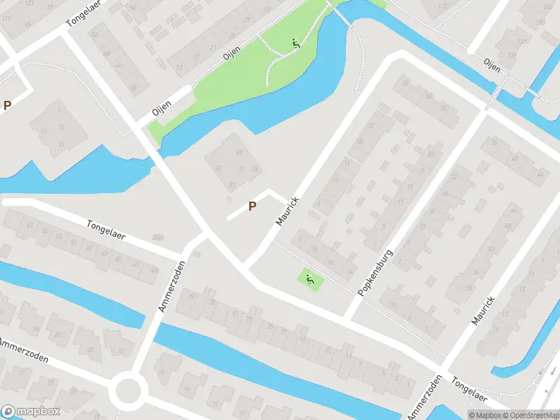 Overlastmelding Tongelaer in Hillegom gesloten