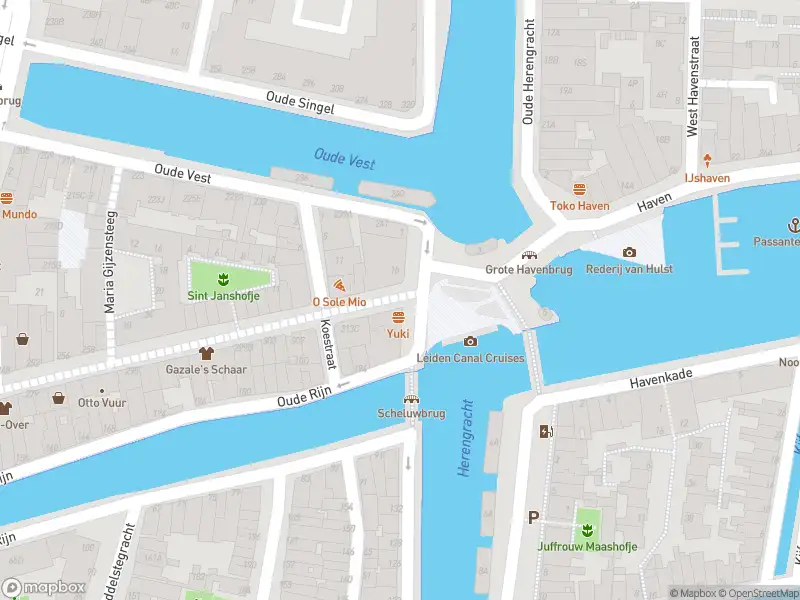 Brandweer met gepaste spoed naar de Havenplein in Leiden vanwege schoorsteenbrand