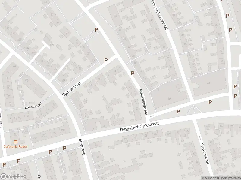 Politie naar de Ribbelerbrinkstraat in Enschede vanwege aanrijding met letsel