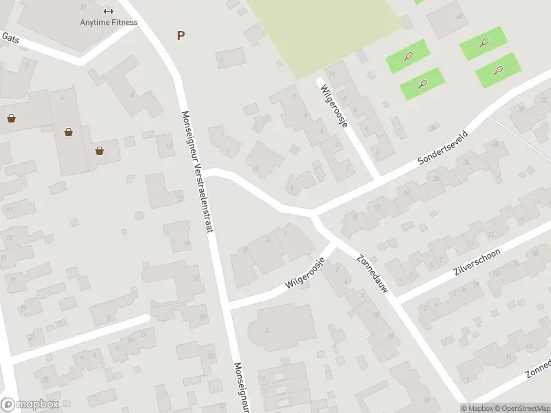 Brandweer met grote spoed naar de Sondertseveld in Sevenum