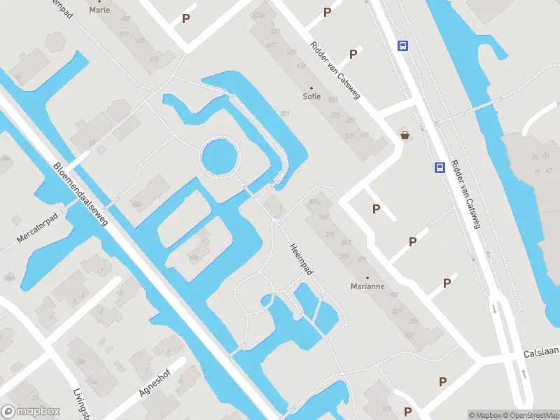 Politie met grote spoed naar de Heempad in Gouda vanwege personen te water