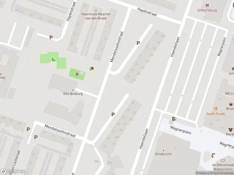 Overlastmelding Mendelssohnstraat in Tilburg gesloten