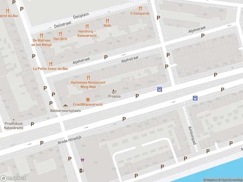 Ambulance met gepaste spoed naar de Brede Hilledijk in Rotterdam