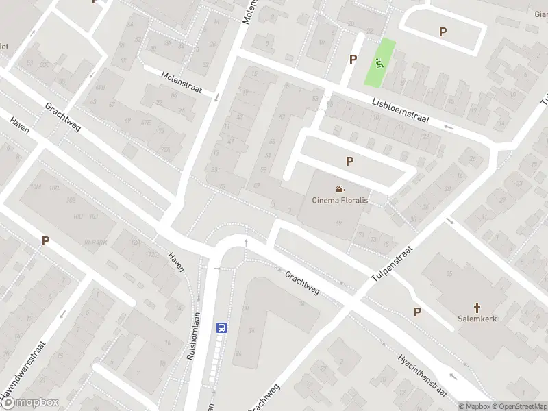 Overlastmelding Molenstraat in Lisse gesloten