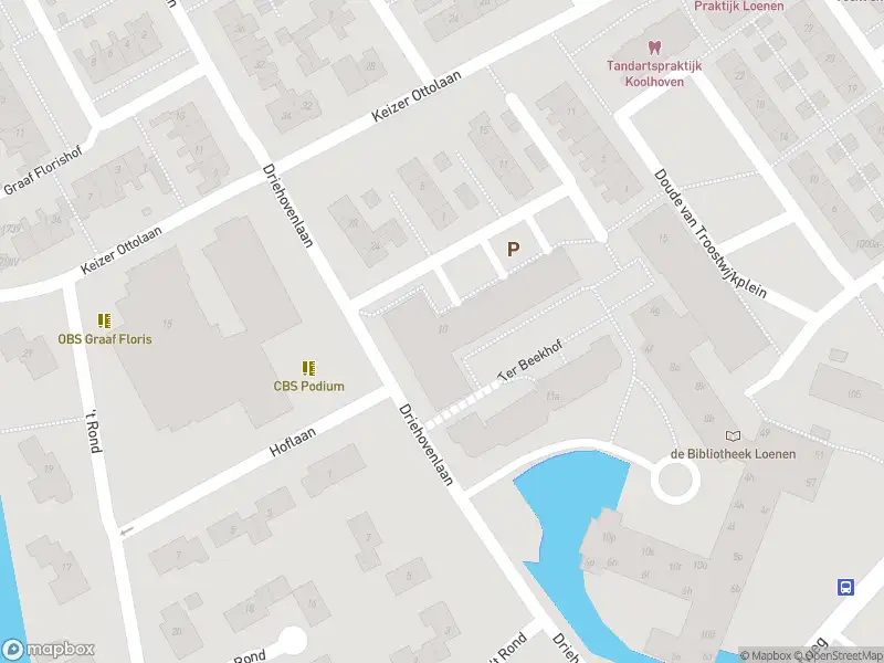 Overlastmelding Van Henegouwenlaan in Loenen aan de Vecht gesloten