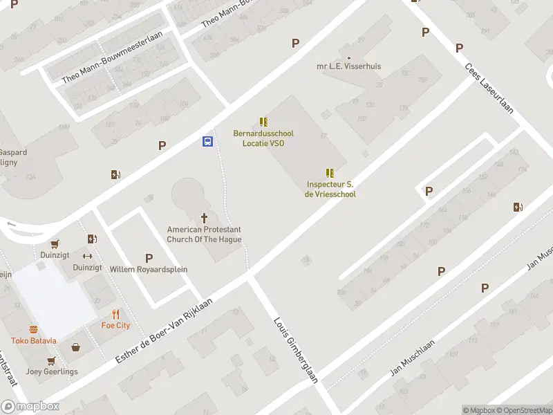 Ambulance met grote spoed naar de Esther de Boer-Van Rijklaan in 's-Gravenhage